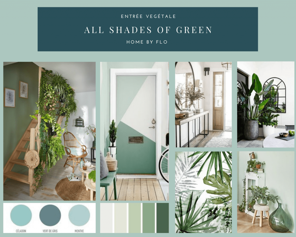 Green Nature Mood Board Photo Collage